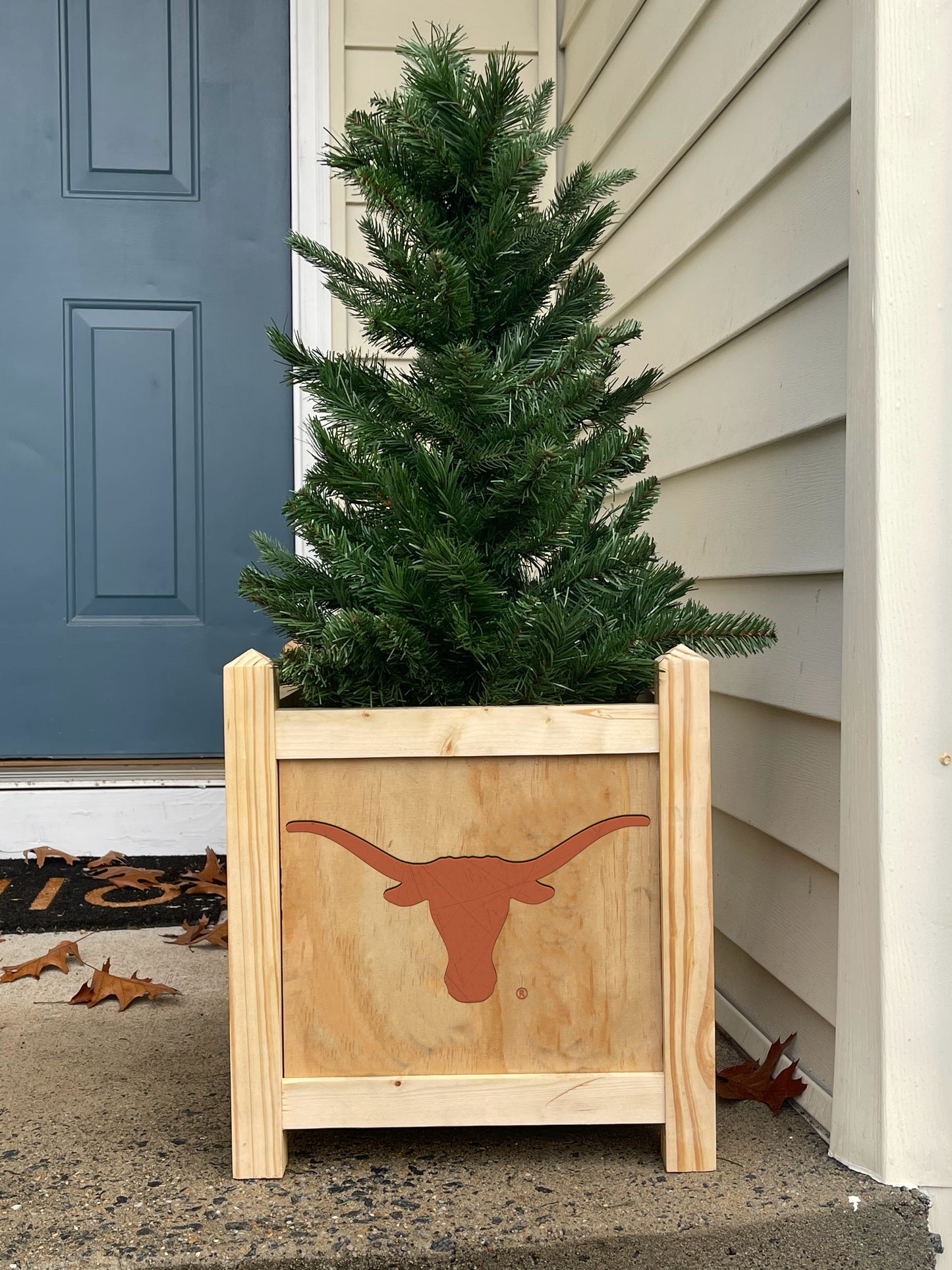 Texas Longhorns Planter Box (Officially Licensed)