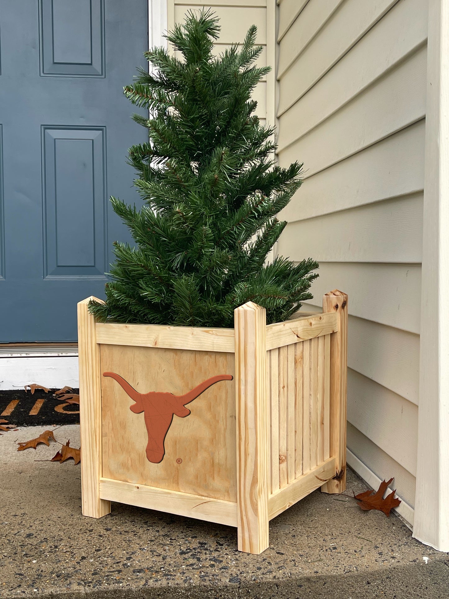 Texas Longhorns Planter Box (Officially Licensed)