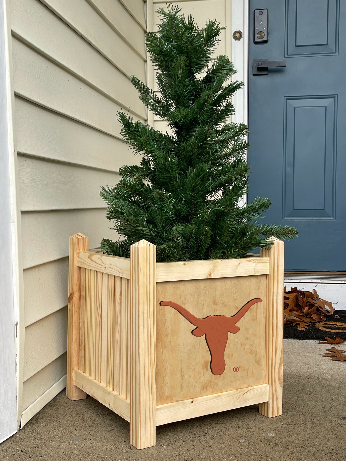Texas Longhorns Planter Box (Officially Licensed)